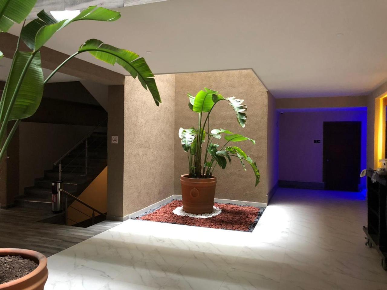 Hotel Plaza Arteaga Монтеррей Екстер'єр фото